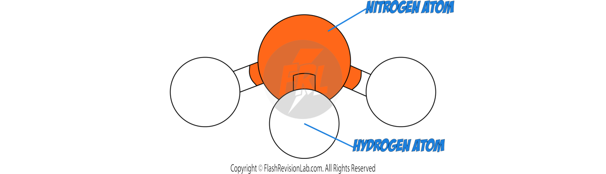 3D Diagram